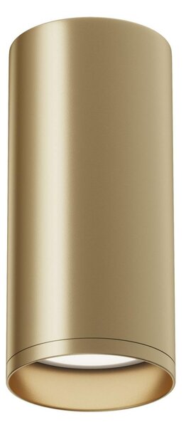 MAYTONI Stropní svítidlo Focus C010CL-01MG
