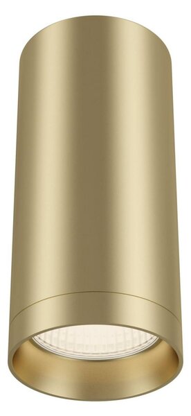 MAYTONI Stropní svítidlo Focus C010CL-01MG