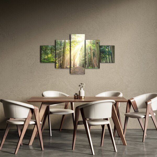 Obraz pěšiny v lese (125x70 cm)