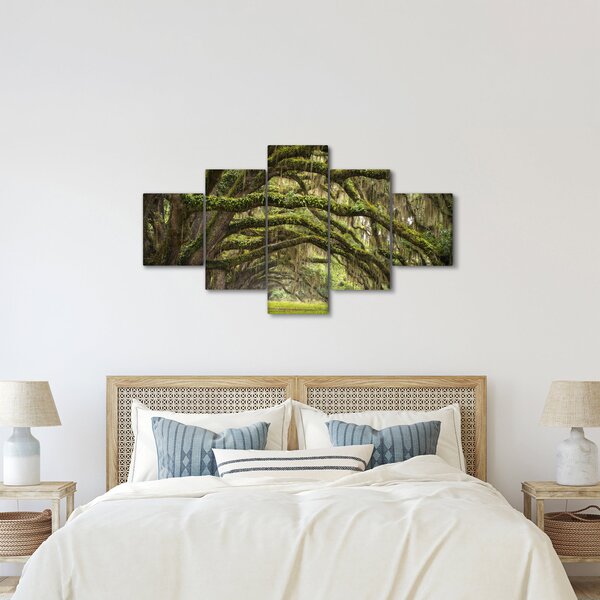 Obraz - Oaks Avenue, Charleston, Jižní Karolína, USA (125x70 cm)