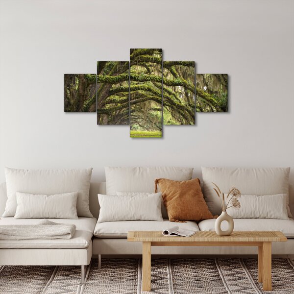 Obraz - Oaks Avenue, Charleston, Jižní Karolína, USA (125x70 cm)
