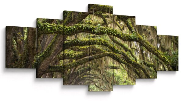 Obraz - Oaks Avenue, Charleston, Jižní Karolína, USA (210x100 cm)