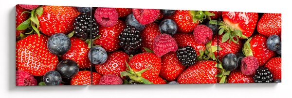 Obraz - Ovocná nálož (170x50 cm)