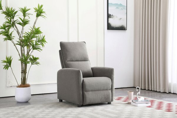 TELEVIZNÍ KŘESLO, dřevo, kov, plast, textil, světle šedá Carryhome - TV křesla