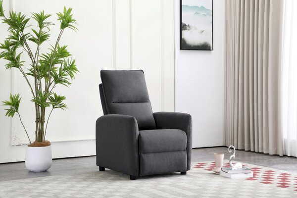 TELEVIZNÍ KŘESLO, dřevo, kov, plast, textil, tmavě šedá Carryhome - TV křesla