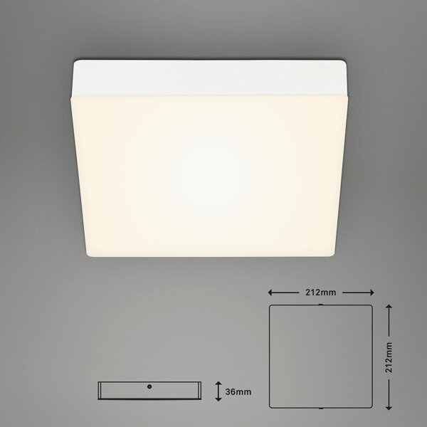 STROPNÍ LED SVÍTIDLO, 21.2/21.2/3.6 cm - Stropní svítidla