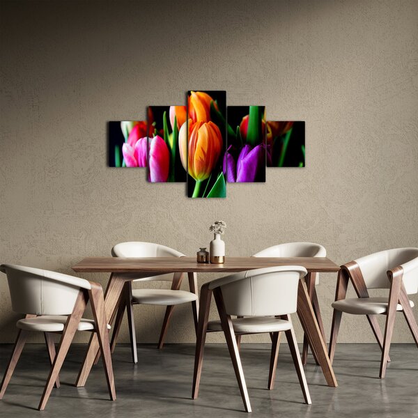 Obraz tulipánů na černém pozadí (125x70 cm)
