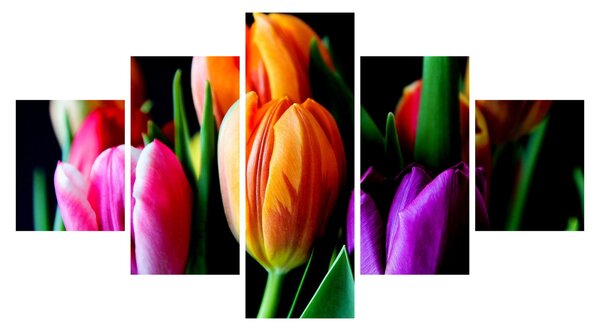 Obraz tulipánů na černém pozadí (125x70 cm)