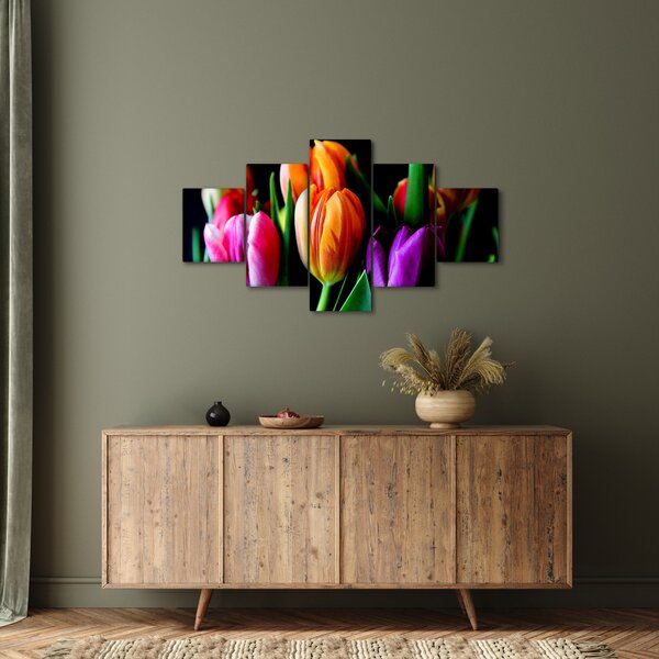 Obraz tulipánů na černém pozadí (125x70 cm)