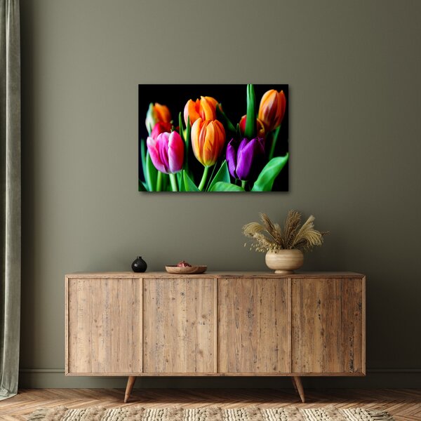 Obraz tulipánů na černém pozadí (70x50 cm)