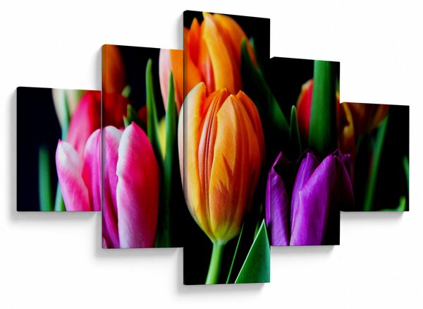 Obraz tulipánů na černém pozadí (125x70 cm)