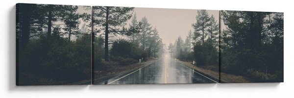 Obraz silnice v dešti (170x50 cm)
