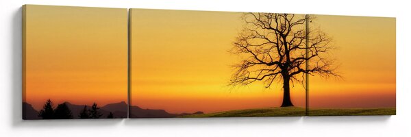 Obraz stromu na poli (170x50 cm)