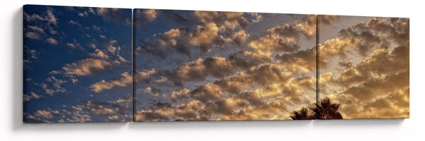 Obraz - Palmy mezi mraky (170x50 cm)