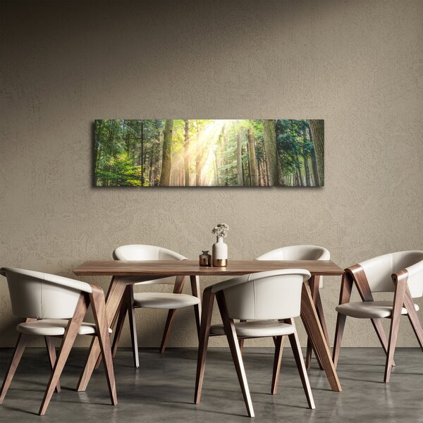 Obraz pěšiny v lese (170x50 cm)