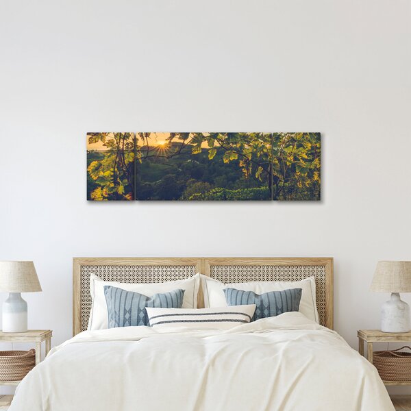 Obraz - Vinice (170x50 cm)