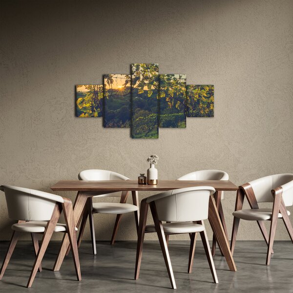 Obraz - Vinice (125x70 cm)