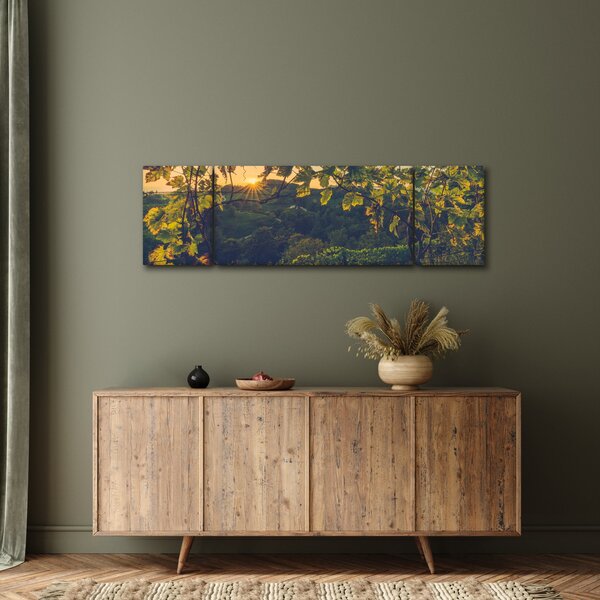 Obraz - Vinice (170x50 cm)