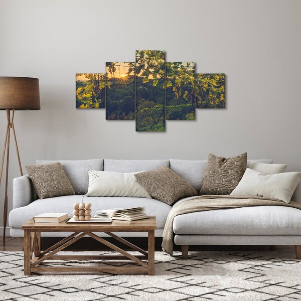 Obraz - Vinice (125x70 cm)