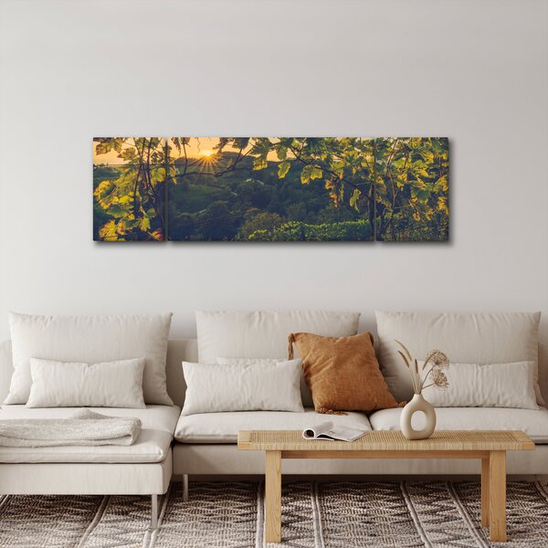 Obraz - Vinice (170x50 cm)
