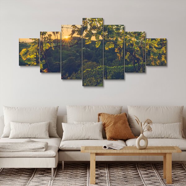 Obraz - Vinice (210x100 cm)