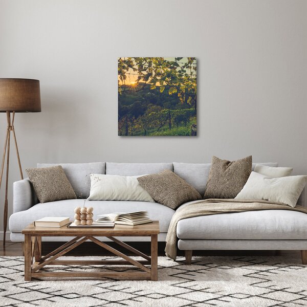 Obraz - Vinice (30x30 cm)