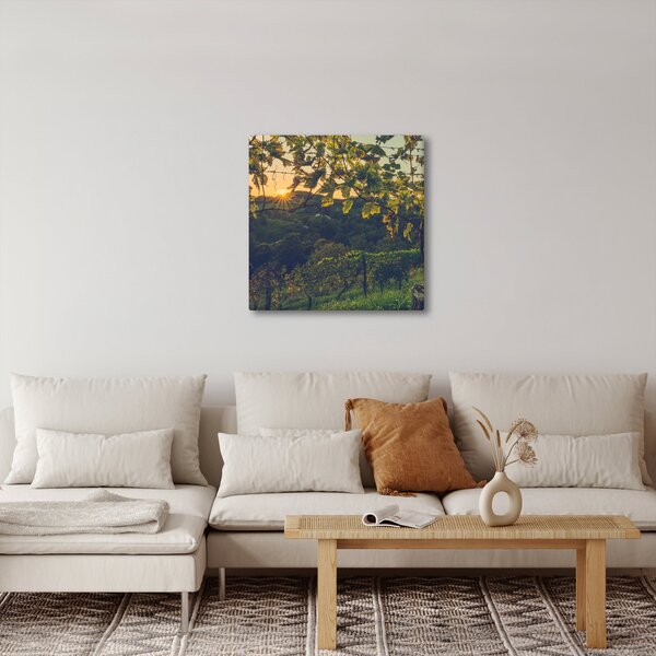 Obraz - Vinice (30x30 cm)