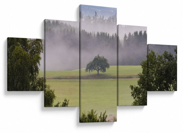 Obraz louky se stromem (125x70 cm)