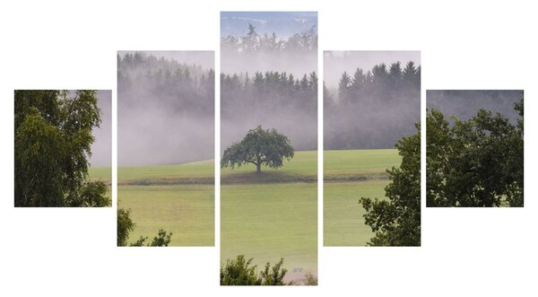 Obraz louky se stromem (125x70 cm)