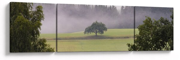 Obraz louky se stromem (170x50 cm)