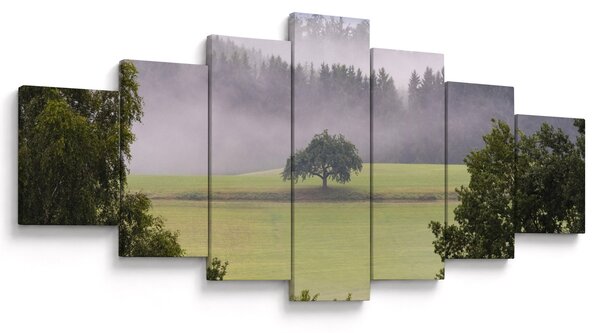 Obraz louky se stromem (210x100 cm)