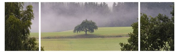 Obraz louky se stromem (170x50 cm)