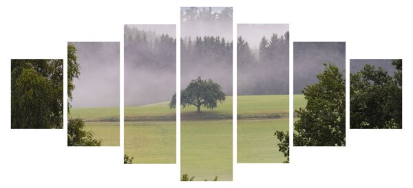 Obraz louky se stromem (210x100 cm)