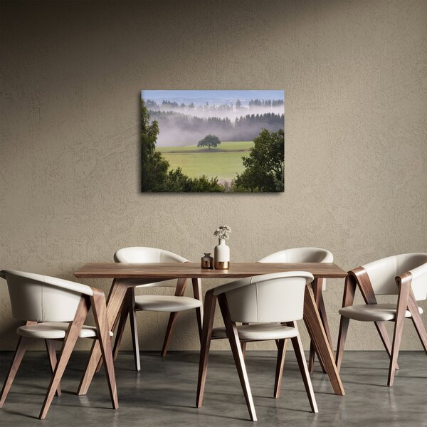 Obraz louky se stromem (70x50 cm)
