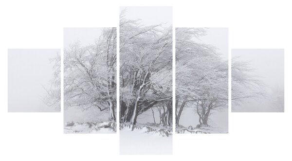 Obraz - Bílá zima (125x70 cm)