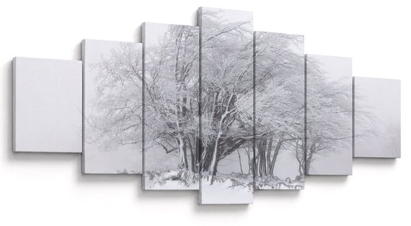 Obraz - Bílá zima (210x100 cm)
