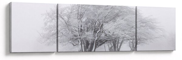 Obraz - Bílá zima (170x50 cm)