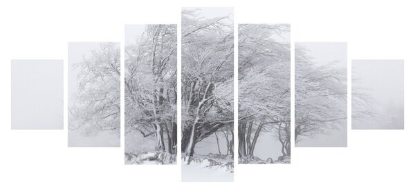 Obraz - Bílá zima (210x100 cm)