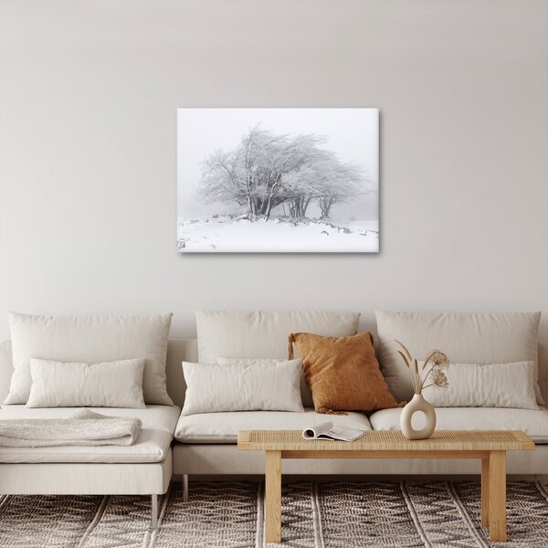 Obraz - Bílá zima (70x50 cm)