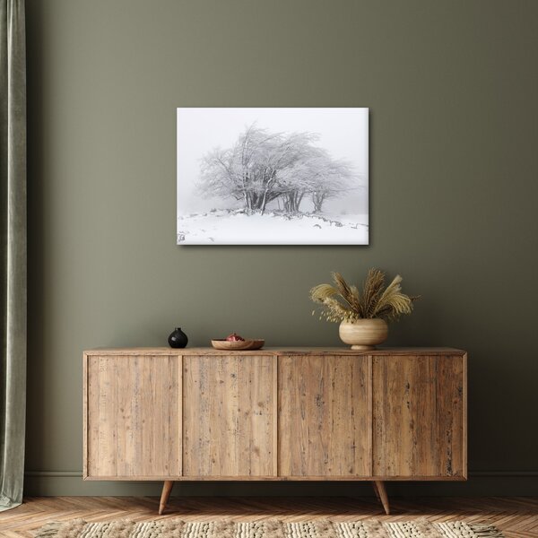 Obraz - Bílá zima (70x50 cm)