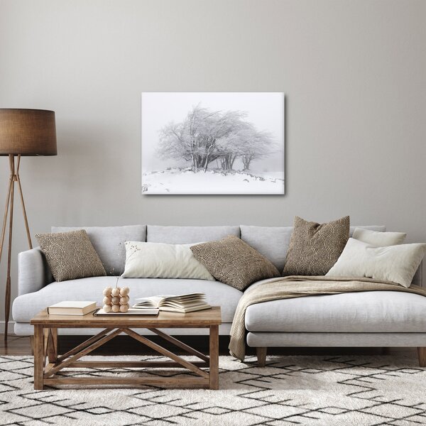 Obraz - Bílá zima (70x50 cm)