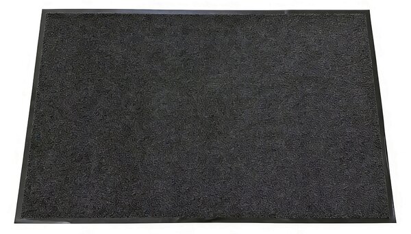 DVEŘNÍ ROHOŽKA, 80/120 cm - Rohožky