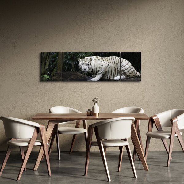 Obraz - Tygr albín (170x50 cm)