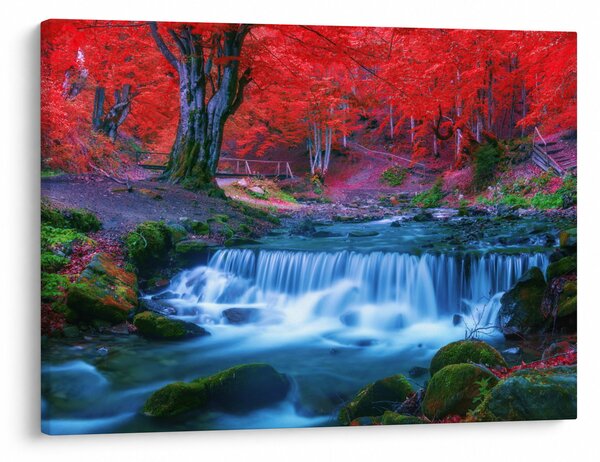 Obraz vodopádu v červeném lese (70x50 cm)