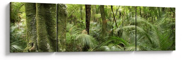 Obraz Tropický deštný prales (170x50 cm)