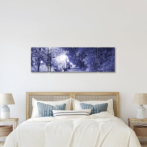 Obraz - Kouzelná zimní noc (170x50 cm)