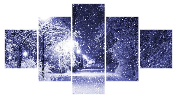 Obraz - Kouzelná zimní noc (125x70 cm)