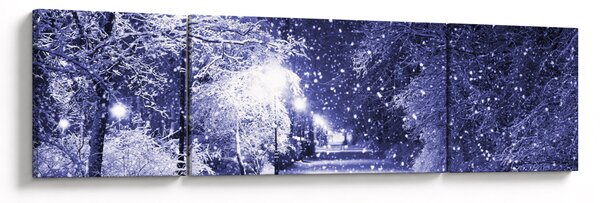 Obraz - Kouzelná zimní noc (170x50 cm)