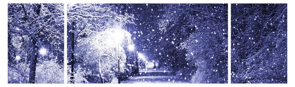 Obraz - Kouzelná zimní noc (170x50 cm)