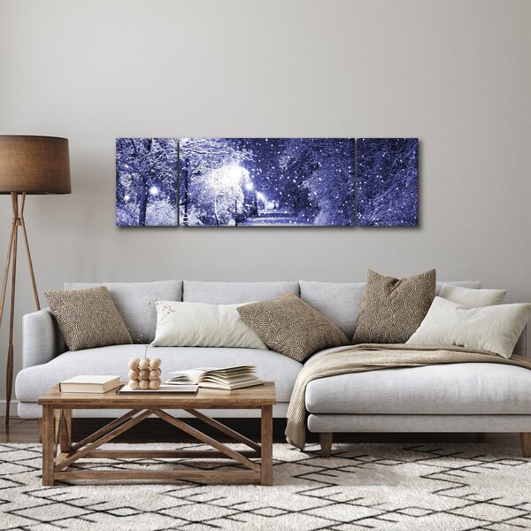 Obraz - Kouzelná zimní noc (170x50 cm)